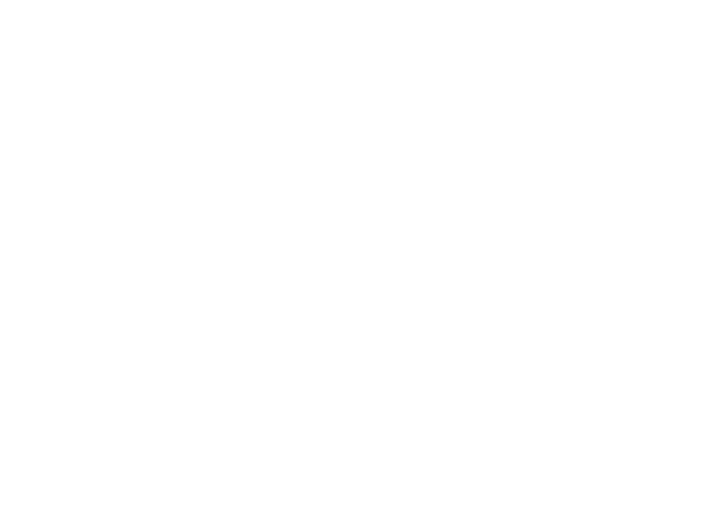 JL Canedo Consulting